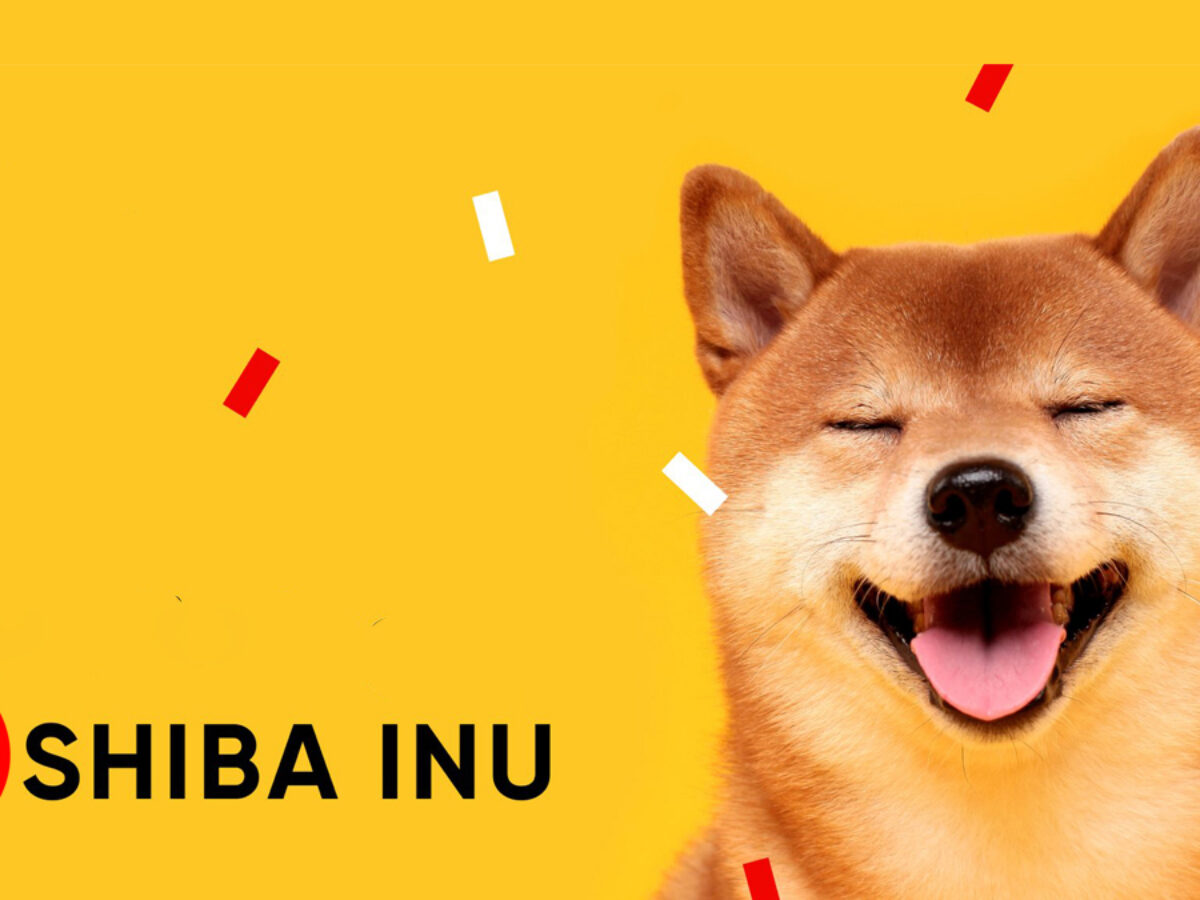 How To Buy Shiba Inu Coin On Coinbase Us